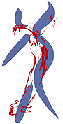 Logo Fasciaterapia
